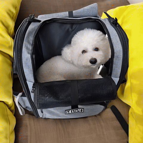 SAC A DOS CHIEN | Métallis™