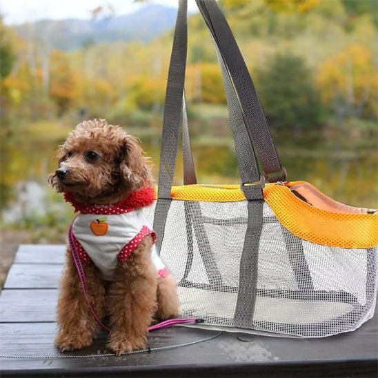 chien assis devant sac de transport Chien