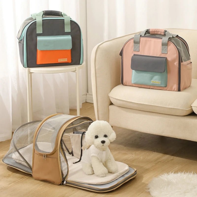 chien assis sur sac transport chien en forme de tente