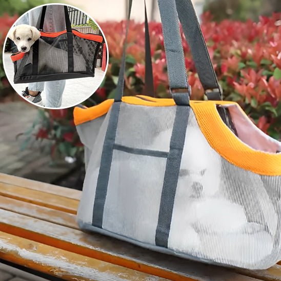 chien dans sac de transport chien