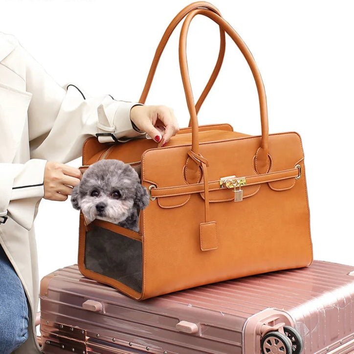 chien dans sac de transport pour chien sur valise