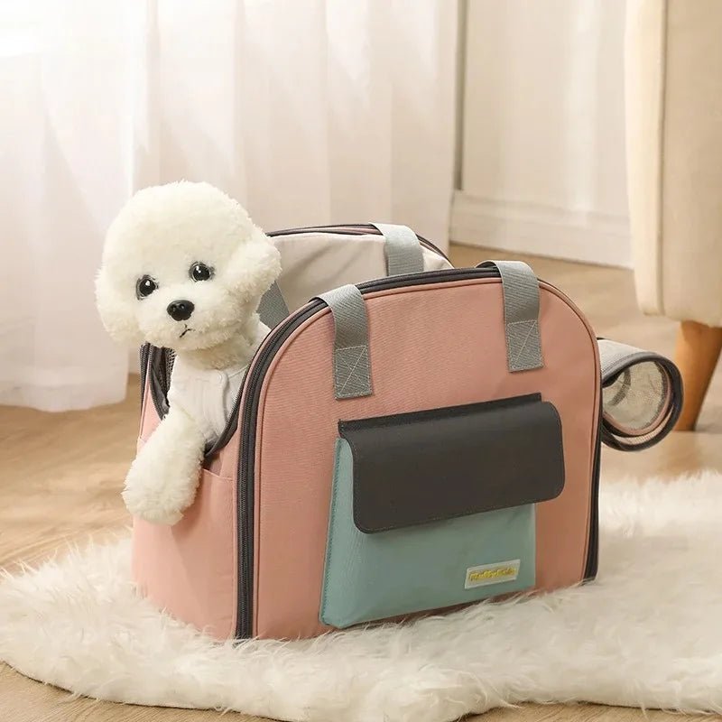 chien dans sac transport chien sur tapis |