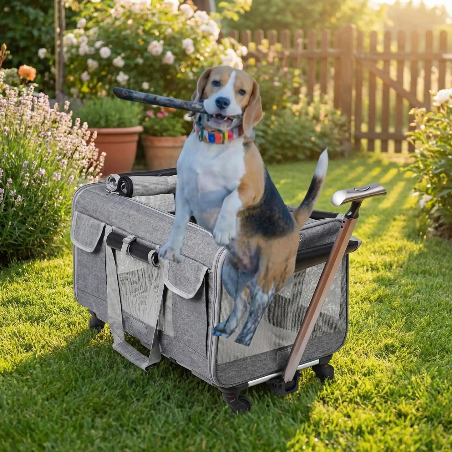 Chien sac de transport | Chariot™ - Cosmos Chien
