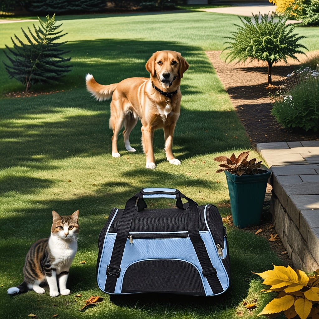 Chien sac de transport | Légerta™ - Cosmos Chien