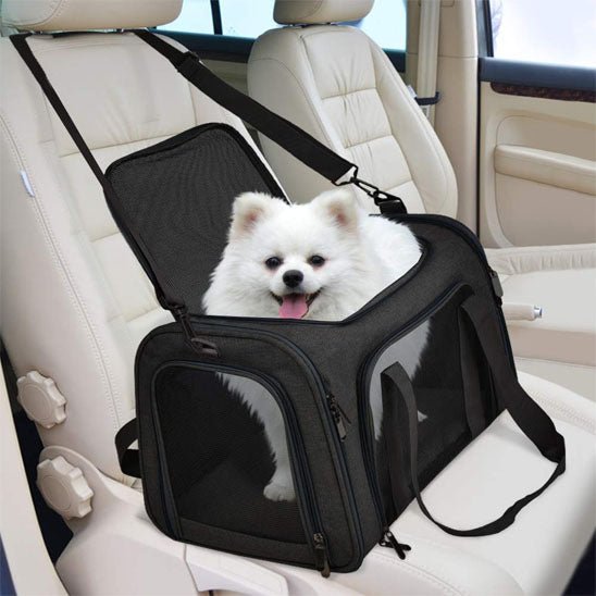 Chien sac de transport | Molosse™ - Cosmos Chien
