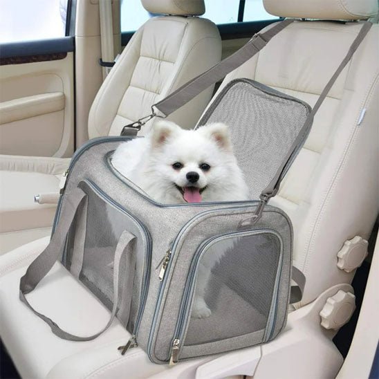 Chien sac de transport | Molosse™ - Cosmos Chien