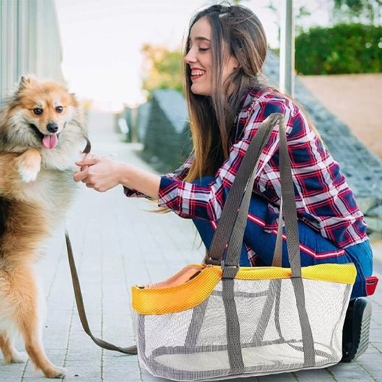 femme joue avec chien a cote de sac de transport chien