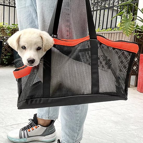 femme tient sac de transport chien avec chien dedans