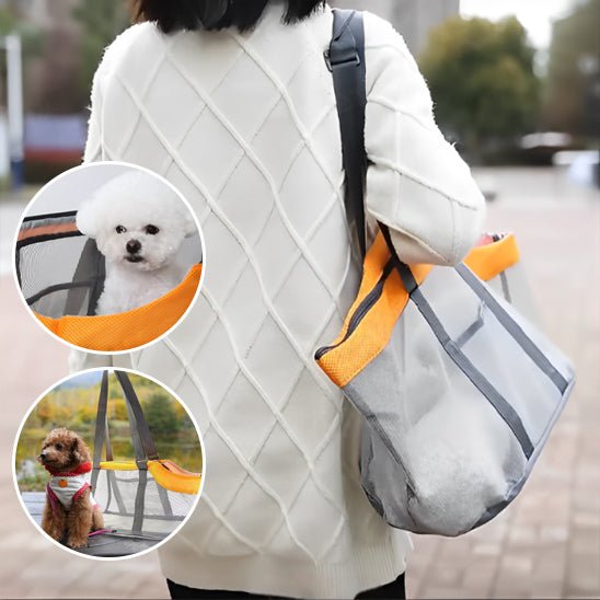 femme transporte chien dans sac de transport Chien