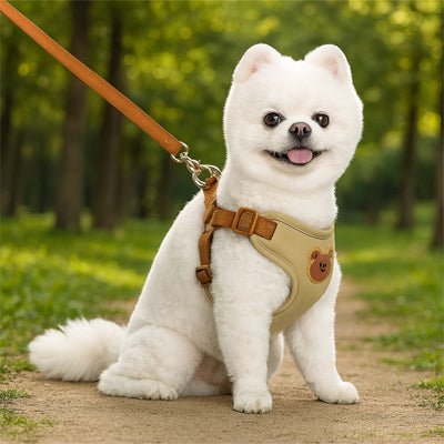 Harnais pour petit chien | Patty™ - Cosmos Chien