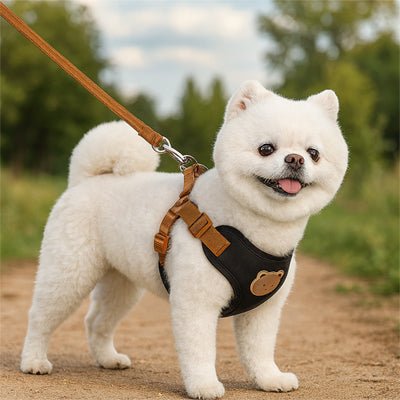 Harnais pour petit chien | Patty™ - Cosmos Chien
