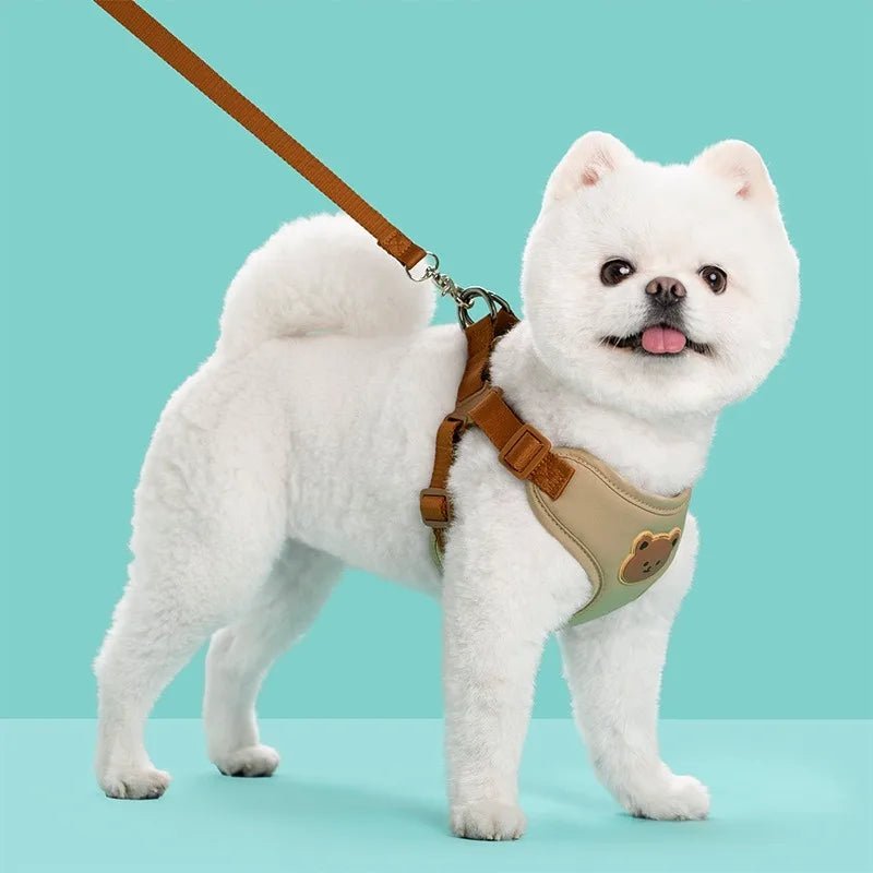 Harnais pour petit chien | Patty™ - Cosmos Chien