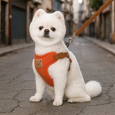 Harnais pour petit chien | Patty™ - Cosmos Chien