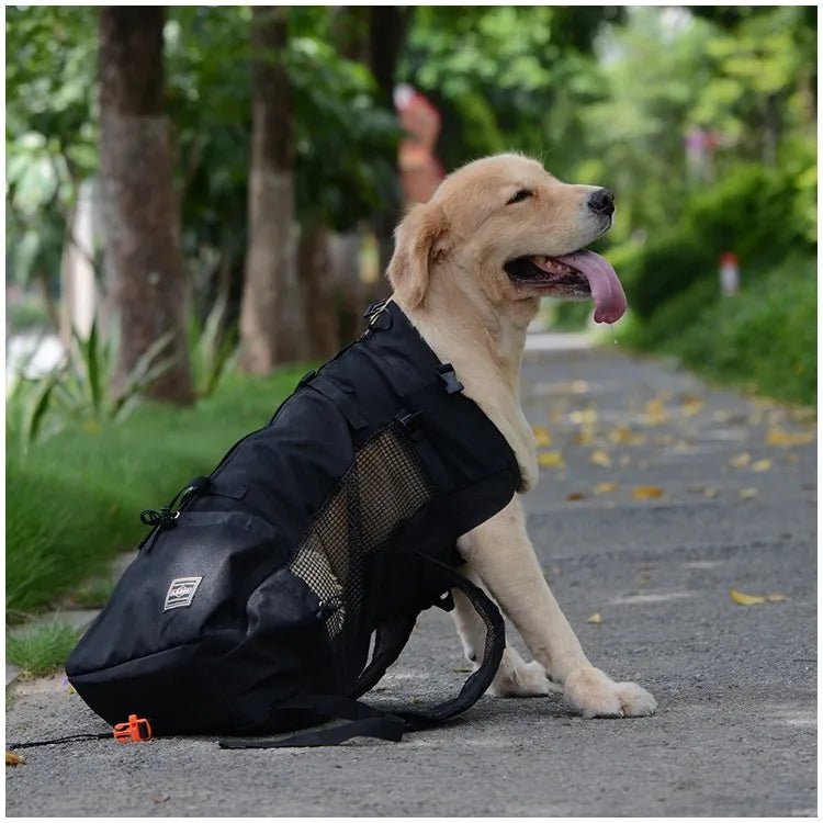SAC A DOS CHIEN | INSÉPARABLE™ - Cosmos Chien