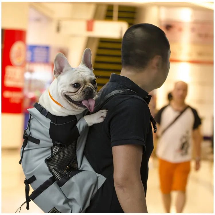 SAC A DOS CHIEN | INSÉPARABLE™ - Cosmos Chien