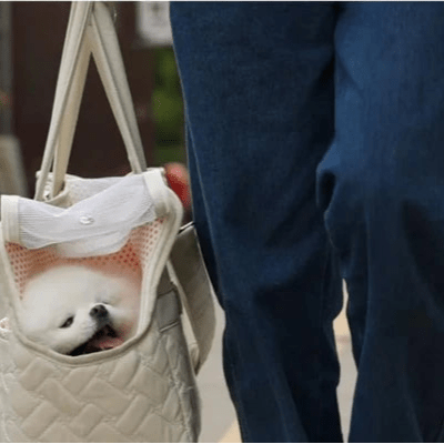 Sac de transport pour chien | Motanel™ - Cosmos Chien