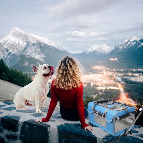 Chien sac de transport | Chariot™ - Cosmos Chien