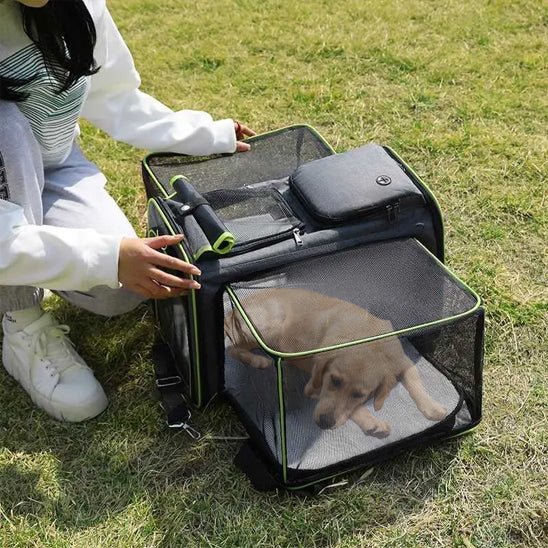 Chien sac de transport | Élastisimo™ - Cosmos Chien