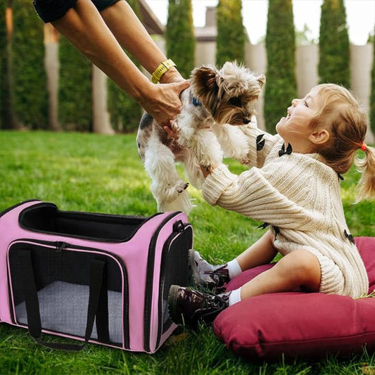 Chien sac de transport | Molosse™ - Cosmos Chien