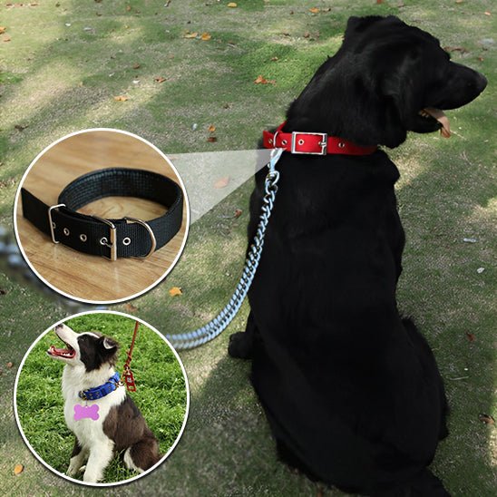 Collier chien | Fortex™ - Cosmos Chien