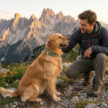 Collier chien | Fortex™ - Cosmos Chien