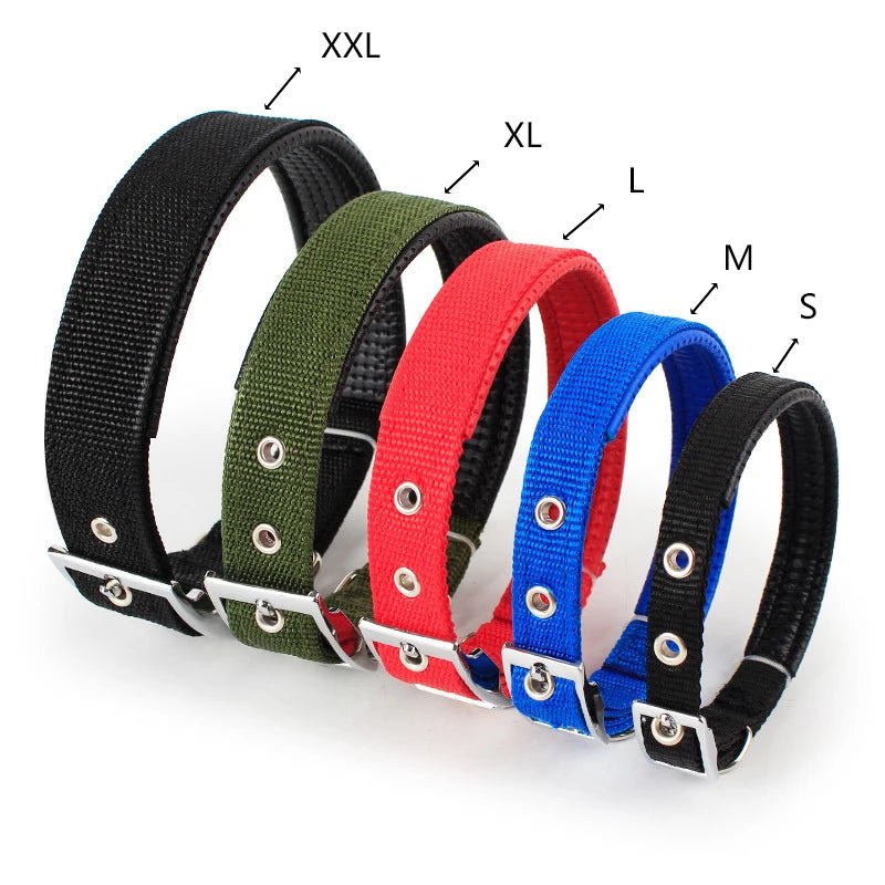 Collier chien | Fortex™ - Cosmos Chien