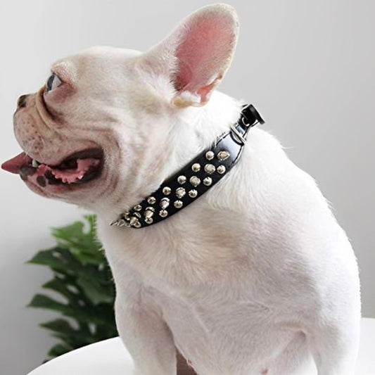 Collier pour chien | Rivets - Cosmos Chien