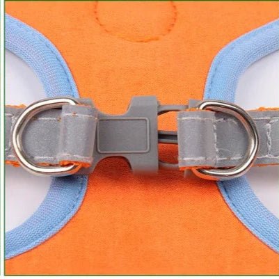 Harnais chien | Cedou™ - Cosmos Chien