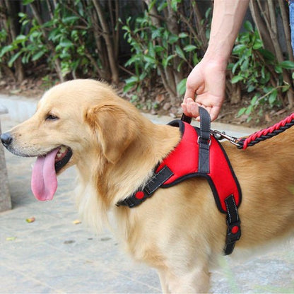 Harnais chien | Plaisir™ - Cosmos Chien