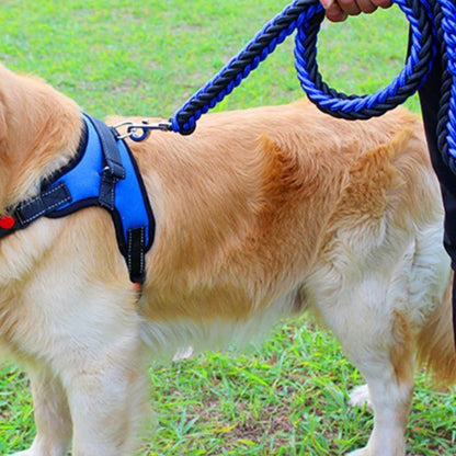 Harnais chien | Plaisir™ - Cosmos Chien