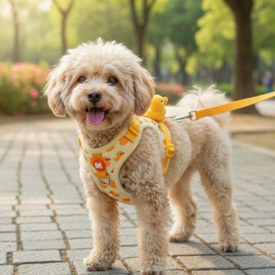 Harnais chiot | Animalia™ - Cosmos Chien