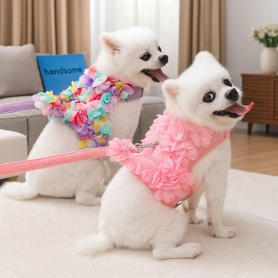 Harnais petit chien| Larobe™ - Cosmos Chien