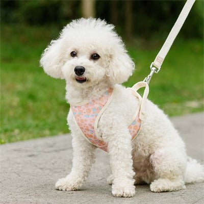 Harnais petit chien | Léopatte™ - Cosmos Chien