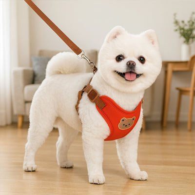 Harnais pour petit chien | Patty™ - Cosmos Chien