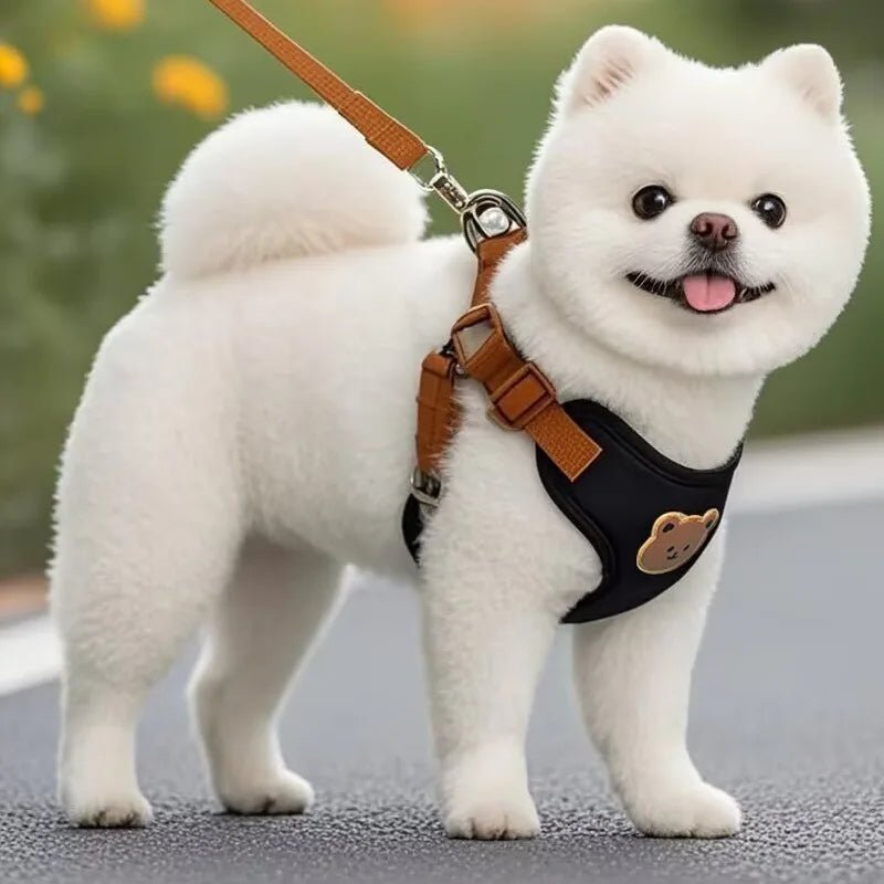 Harnais pour petit chien | Patty™ - Cosmos Chien