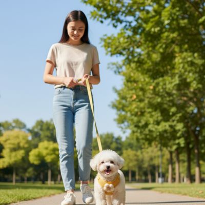 petit-chien-qui-porte-harnais -pour -petit -chien -jaune-se-balade-dans-parc-avec-femme