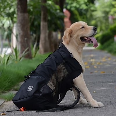 SAC A DOS CHIEN | Inséparable™ - Cosmos Chien