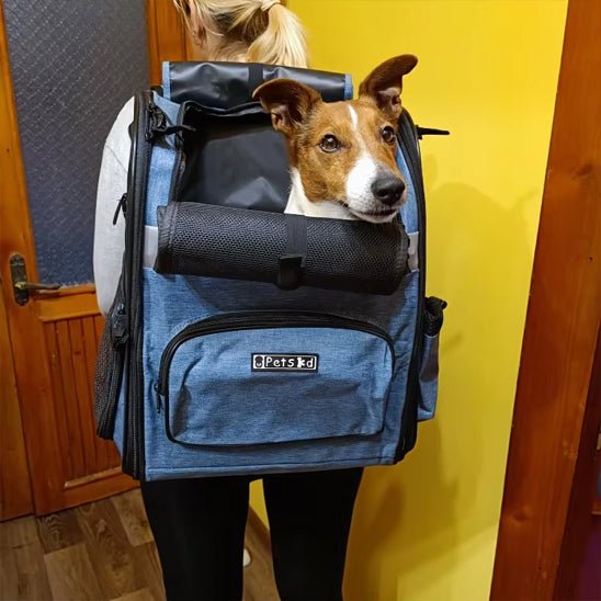 SAC A DOS CHIEN | Métallis™ - Cosmos Chien