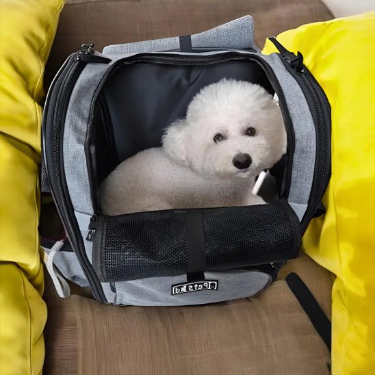 SAC A DOS CHIEN | Métallis™ - Cosmos Chien
