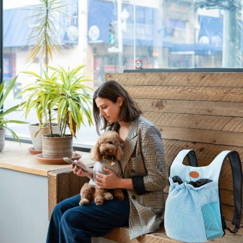 Sac à dos pour chien | Blottiex™ - Cosmos Chien