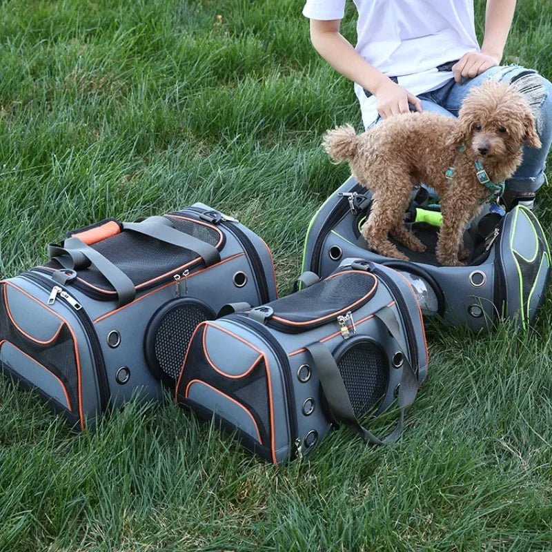 Sac de transport chien | Robusto™ - Cosmos Chien