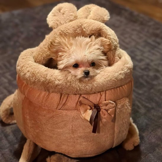 Sac transport chien | Velours™ - Cosmos Chien